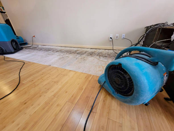 Professional Burst Pipe Water Damage technician working in Mattapoisett, MA